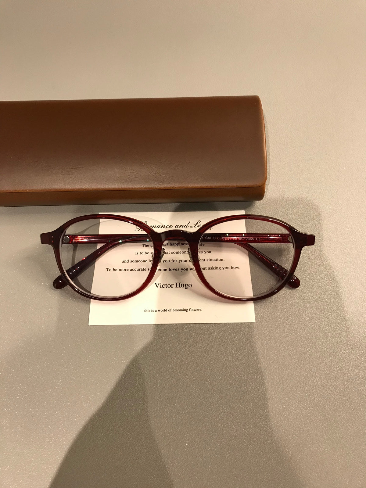 Oval Eyeglass Frames with a Thick Upper Rim, Black, Burgundy or Tortoiseshell