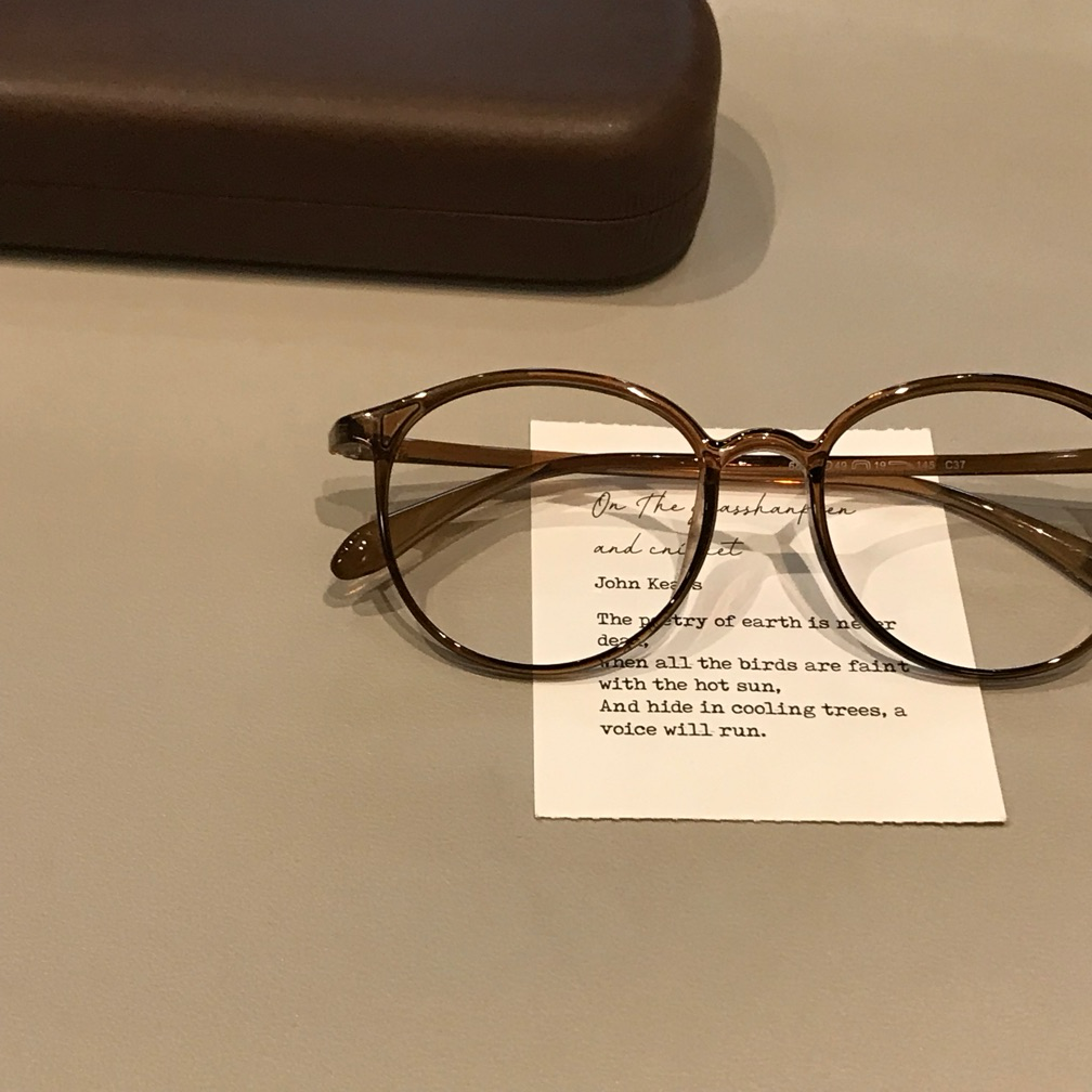 Rounded Square Eyeglass Frames with Slim Temples, Cool Tea Brown or Matte Tortoiseshell